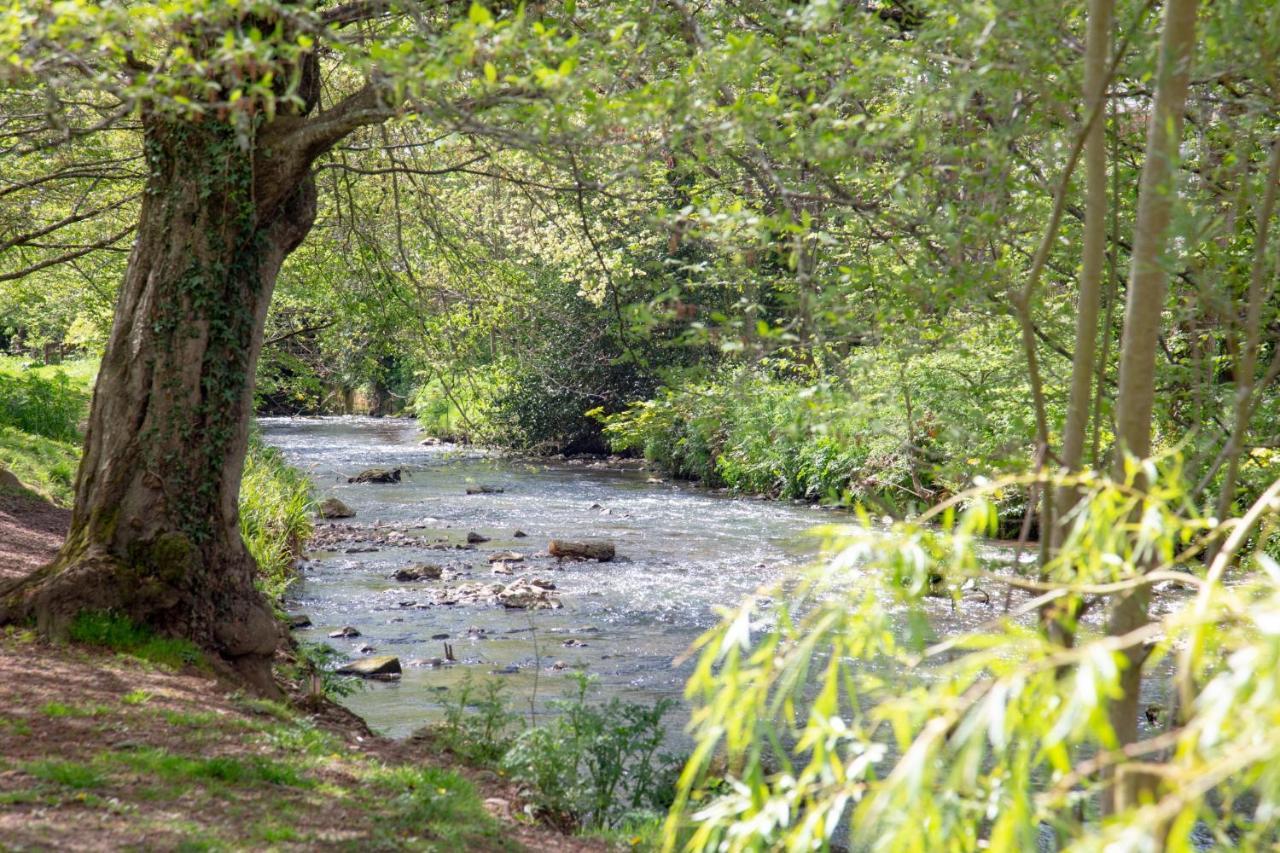 Orchard Cottage Sidmouth Εξωτερικό φωτογραφία